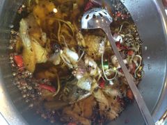 川府沸腾鱼-川府沸腾鱼