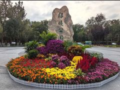-绿堤公园