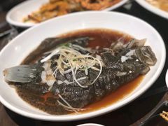 豉油蒸多宝鱼-四季暖堂·融合江浙菜(N1955创业园店)