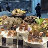 一场极致的海鲜火锅盛宴，体验堪称完美，必须分享给大家！