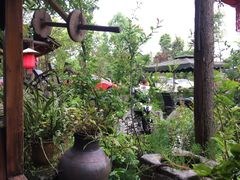 景观位-青城甲(青城山店)