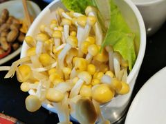 -矮板凳老火锅(宽窄巷子店)