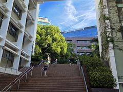 -香港大学
