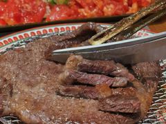 -杨小佳·齐齐哈尔烤肉·烤串(广州店)