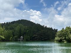 -四明山国家森林公园