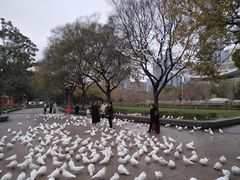 -人民广场