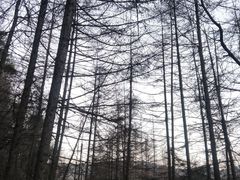 -秦岭风景区