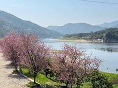 -新安江山水画廊风景区