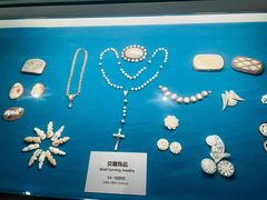 -青岛贝壳博物馆