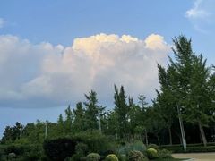 -郑州植物园