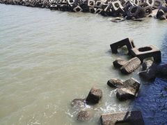 -东疆建设开发纪念公园