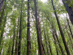 -同里国家湿地公园