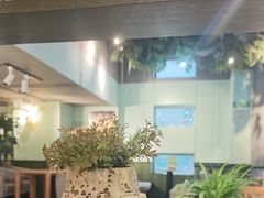 -仙踪林(惠润广场店)