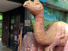 -呀路古热带植物园