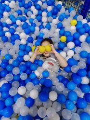 -爱丽丝奇幻乐园