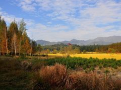 -塔川景区