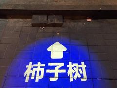 -柿子树炭烤羊腿(金台路店)