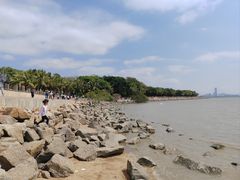 -深圳湾公园(南山区)