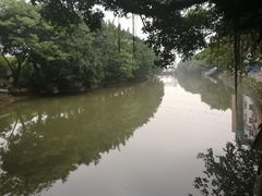 -小洲村