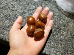 -黑孩油栗皇(南阳路店)