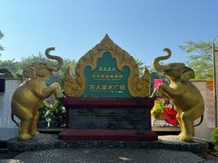 -西双版纳傣族园