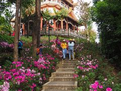 -广州市白云山风景名胜区