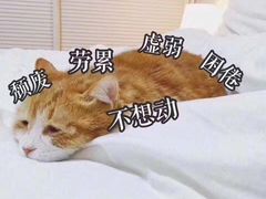 -崇光百货(铜锣湾店)
