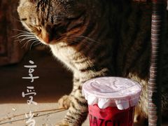 -Jazcu珍仕菓鲜榨果汁(西单大悦城店)