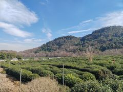 -中国茶叶博物馆(双峰馆区)