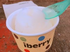 -莓园冰淇淋店