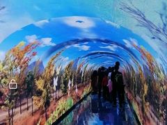 -常德桃花源景区