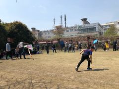 -嘉定紫藤园