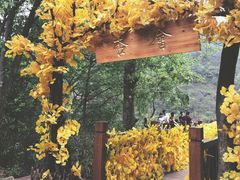 -大慈岩风景区