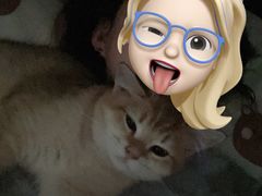 -lincat·猫舍(广州店)