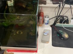 -辛氏推拿(翰林华府店)