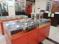-北京同仁堂中医诊所(新华路店)