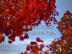 -龙道沟景区