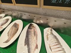 -奉天掌柜·非遗猪手·笨饺子(崇山路店)
