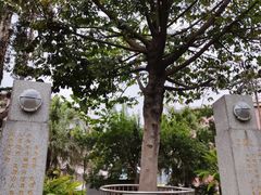 -广州神农草堂中医药博物馆