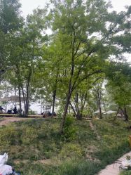 -268童话露营农场·烧烤·团建