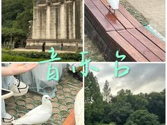 -音乐台