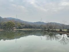 -铭莲·八卦田水上餐厅