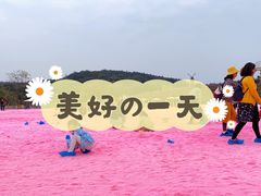 -大塘金香草谷