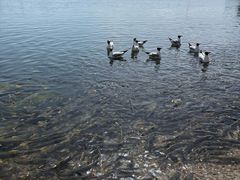 -青海湖二郎剑景区