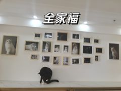 大堂-鼓捣猫呢主题猫咖店