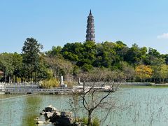 -顺峰山公园
