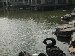 -上海怡沁园度假酒店