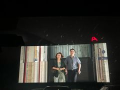 -枫花园汽车电影院(朝阳公园店)