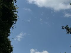 -晓港公园