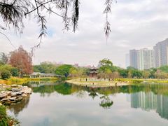 -四海公园(南山区)